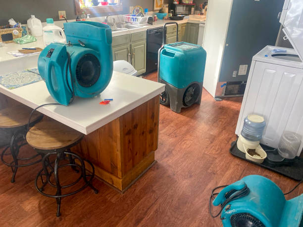 Best 24-hour water damage restoration  in Claremont, CA