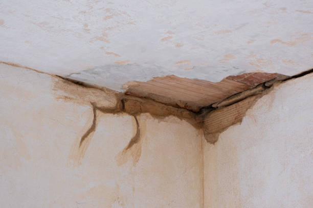  Claremont, CA Water damage restoration Pros