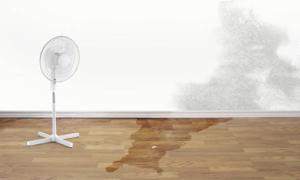 Best Commercial water damage restoration  in Claremont, CA