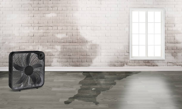 Best Flood restoration services  in Claremont, CA