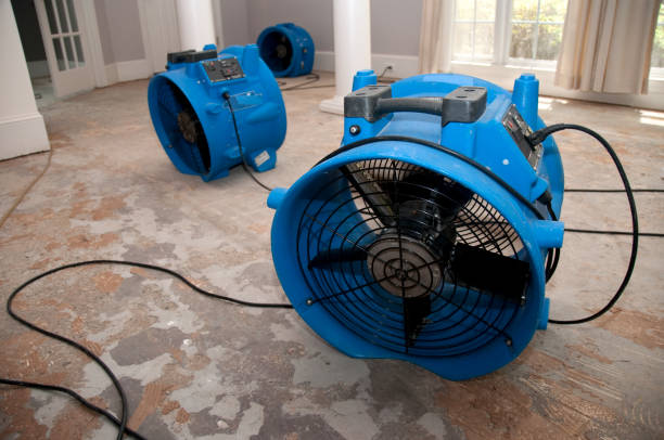 Best Water damage cleanup near me  in Claremont, CA