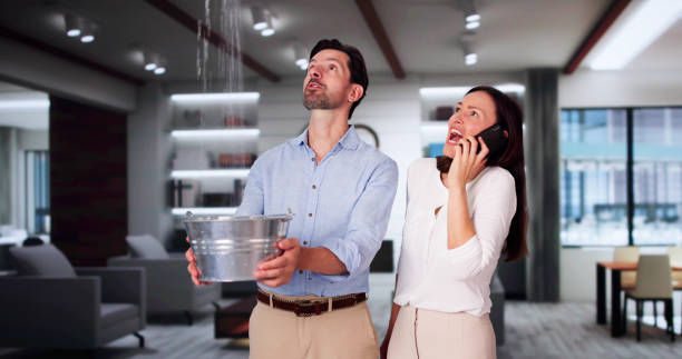 Best Professional water damage repair  in Claremont, CA