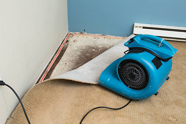 Best Fire Damage Restoration  in Claremont, CA
